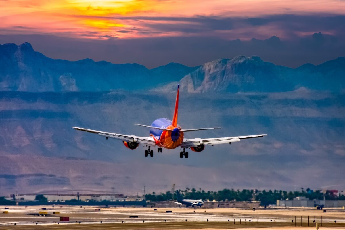 Több ezren akarták örökbe fogadni a repülőtéren magára hagyott kutyát