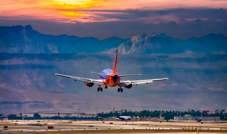 Több ezren akarták örökbe fogadni a repülőtéren magára hagyott kutyát