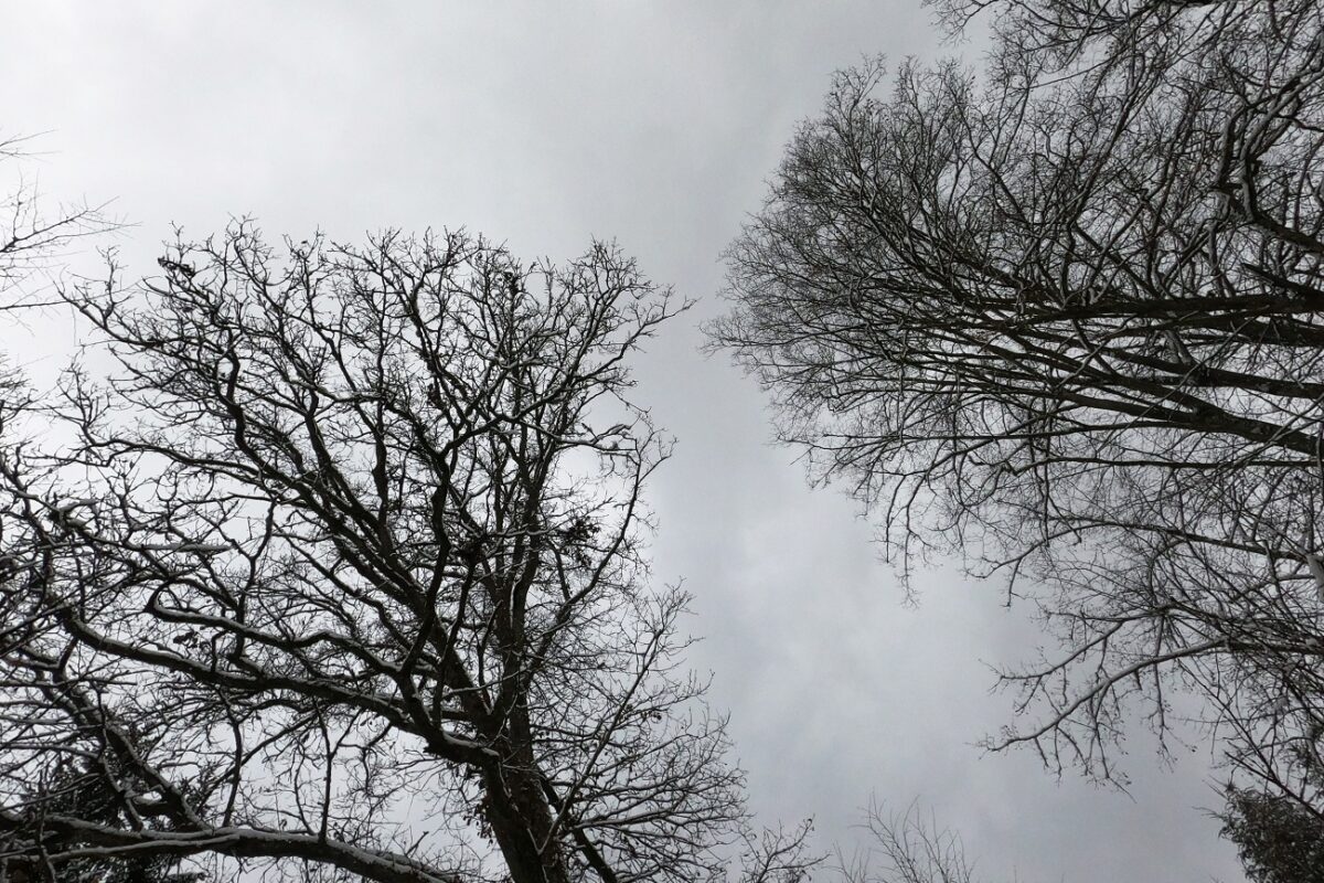 Orkánerejű szél csapott le Magyarországra – döbbenetes értékeket mértek