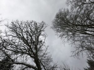 Orkánerejű szél csapott le Magyarországra – döbbenetes értékeket mértek