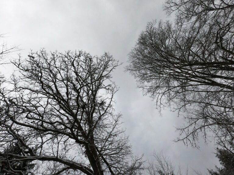 Orkánerejű szél csapott le Magyarországra – döbbenetes értékeket mértek