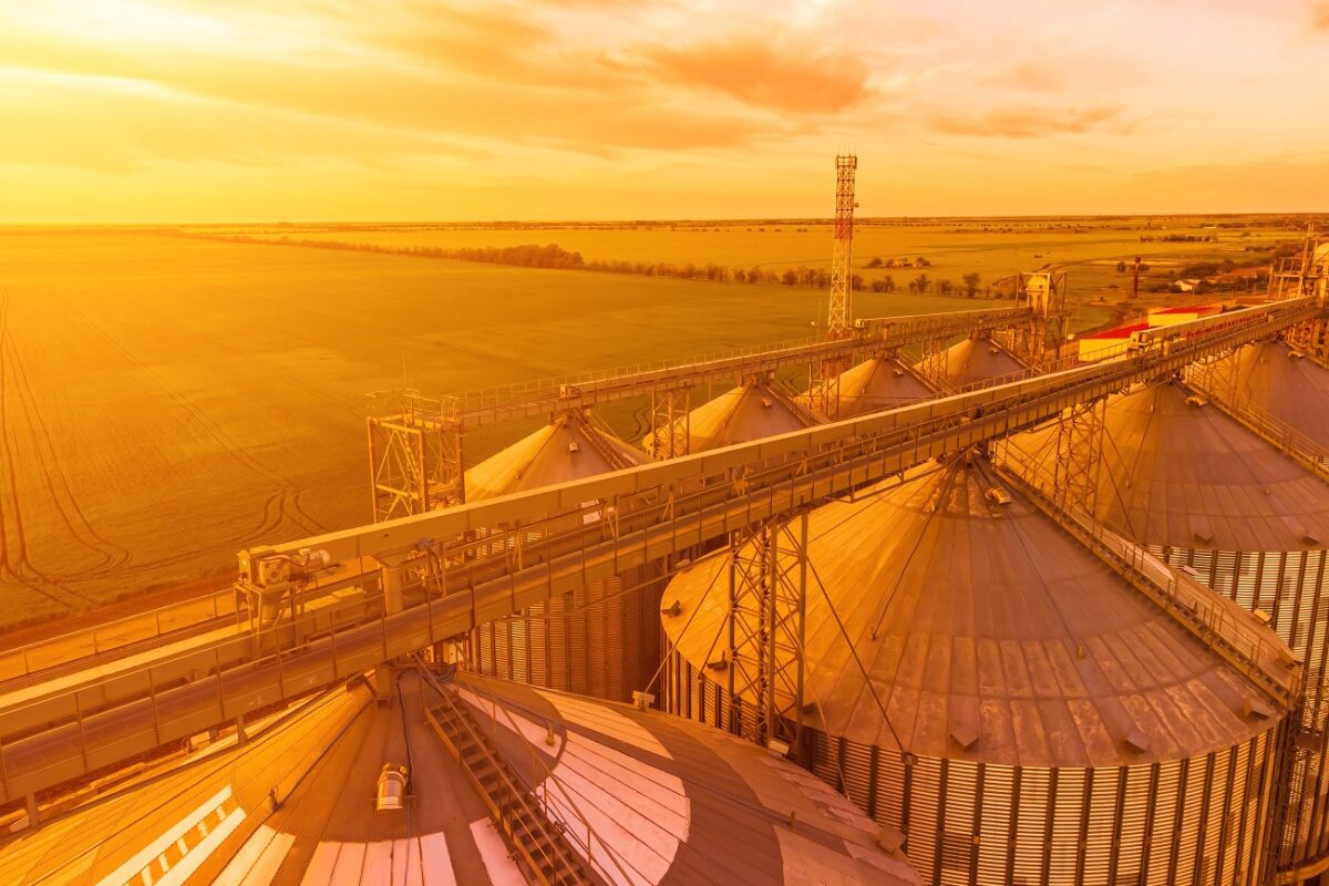 Gabonatárolóba szorult és meghalt egy négygyermekes apa