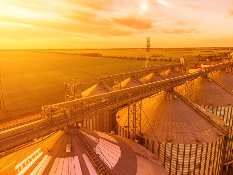 Gabonatárolóba szorult és meghalt egy négygyermekes apa