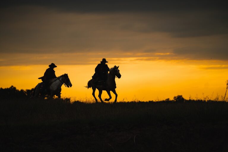 A Netflix új westernje kijavítja a Yellowstone legnagyobb hibáját