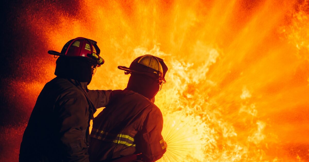 Egy mókus rágta át a vezetékeket, majd porig égett egy család otthona Kép