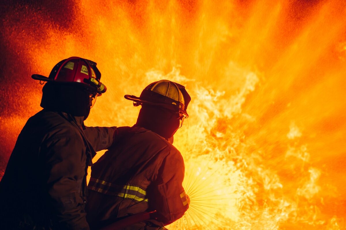 Egy mókus rágta át a vezetékeket, majd porig égett egy család otthona