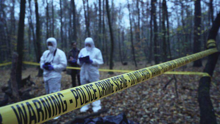 Három hónapig keresték a 73 éves nyugdíjast – egy erdőben találtak rá a holttestére