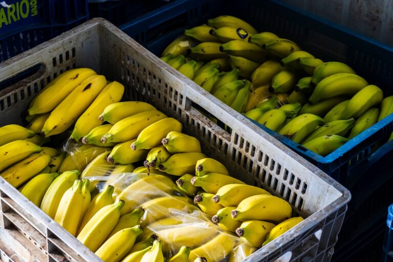 Mérgező fémeket találtak banánban a brazil bányaszerencsétlenség után