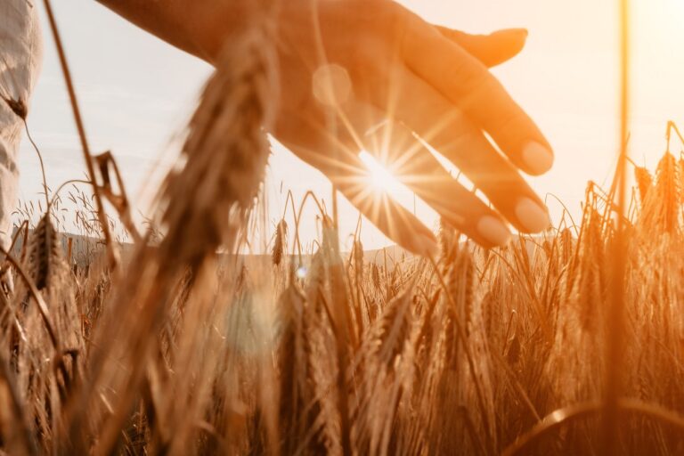 Élve találták meg a 24 évvel ezelőtt eltűnt anyát – rengeteg a kérdőjel