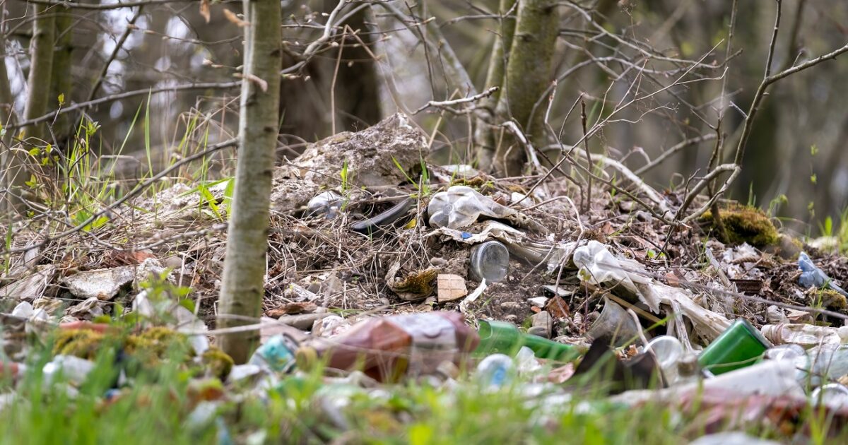 Egy férfi a kutyáját képezte ki arra, hogy illegálisan dobja ki a szemetét Kép