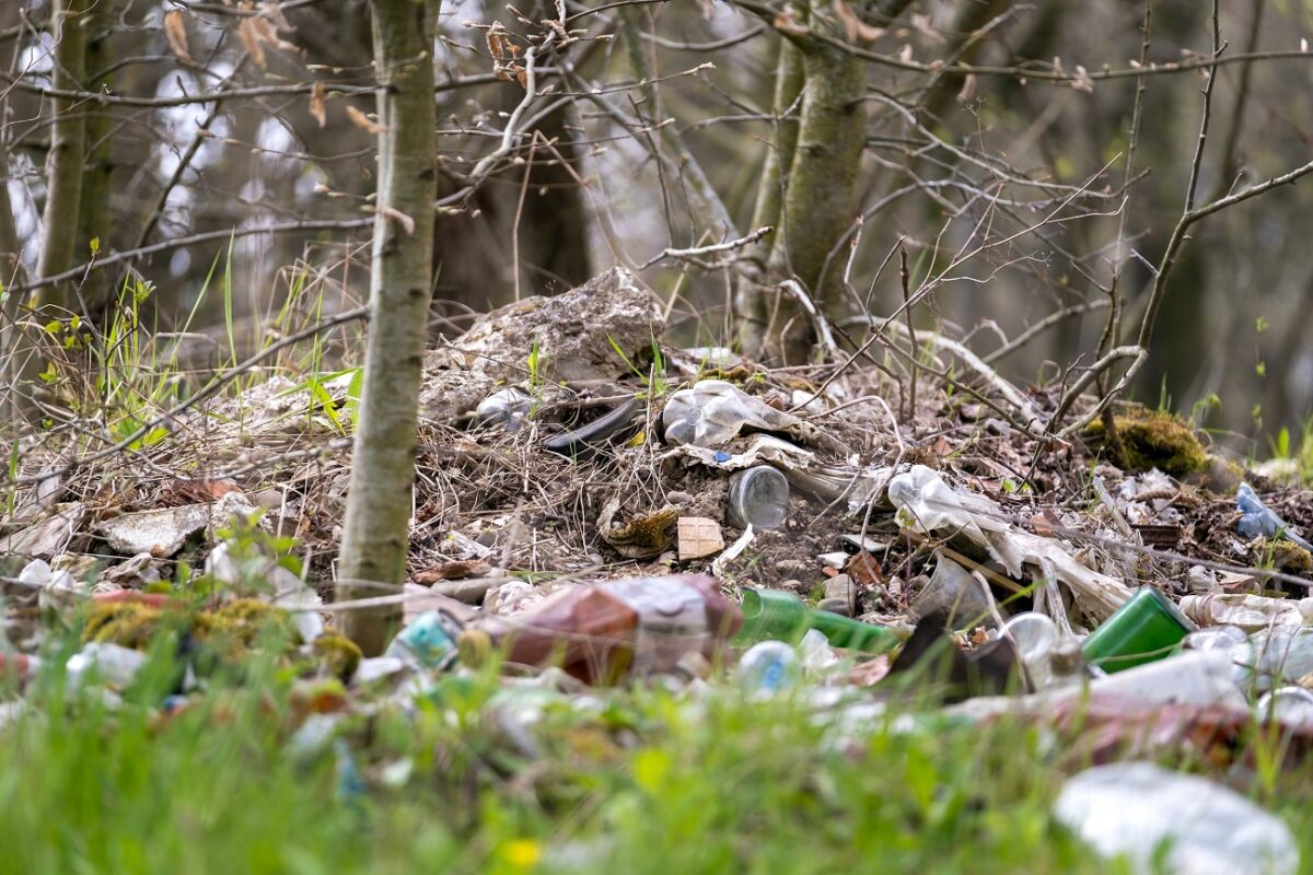 Egy férfi a kutyáját képezte ki arra, hogy illegálisan dobja ki a szemetét