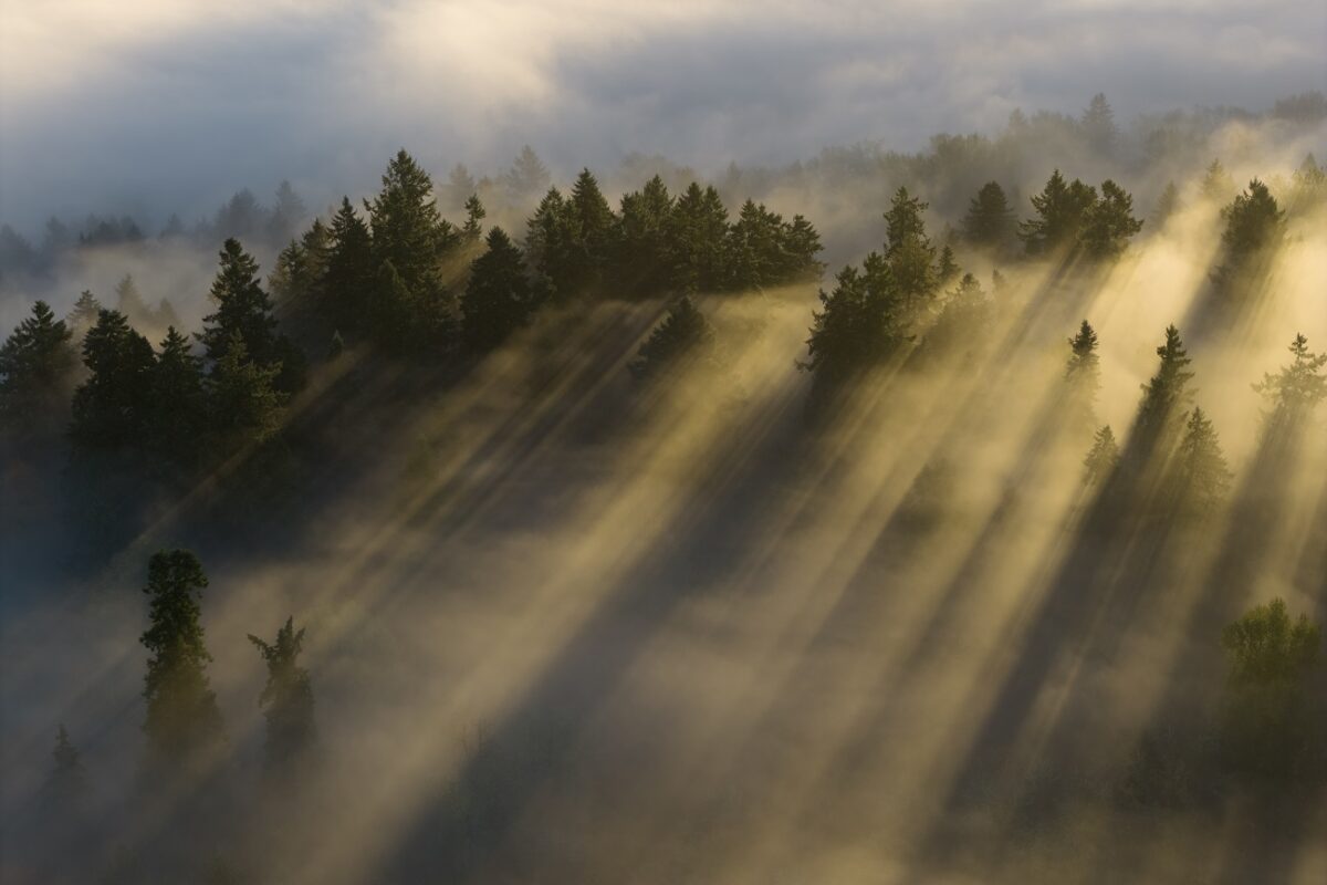 Bejelentést tettek a hatóságok – így találták meg az eltűnt 25 éves férfit