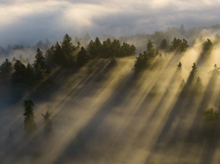 Bejelentést tettek a hatóságok – így találták meg az eltűnt 25 éves férfit