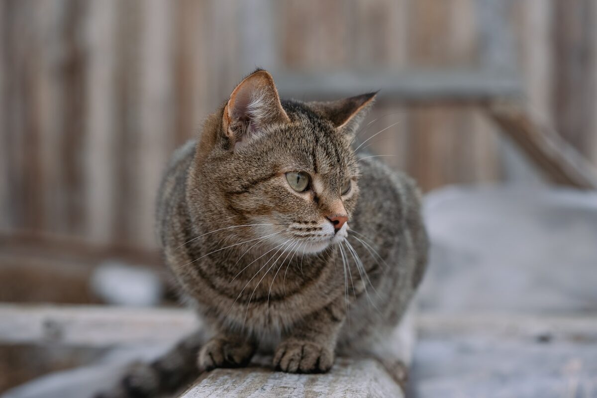 10 év után derült ki az igazság