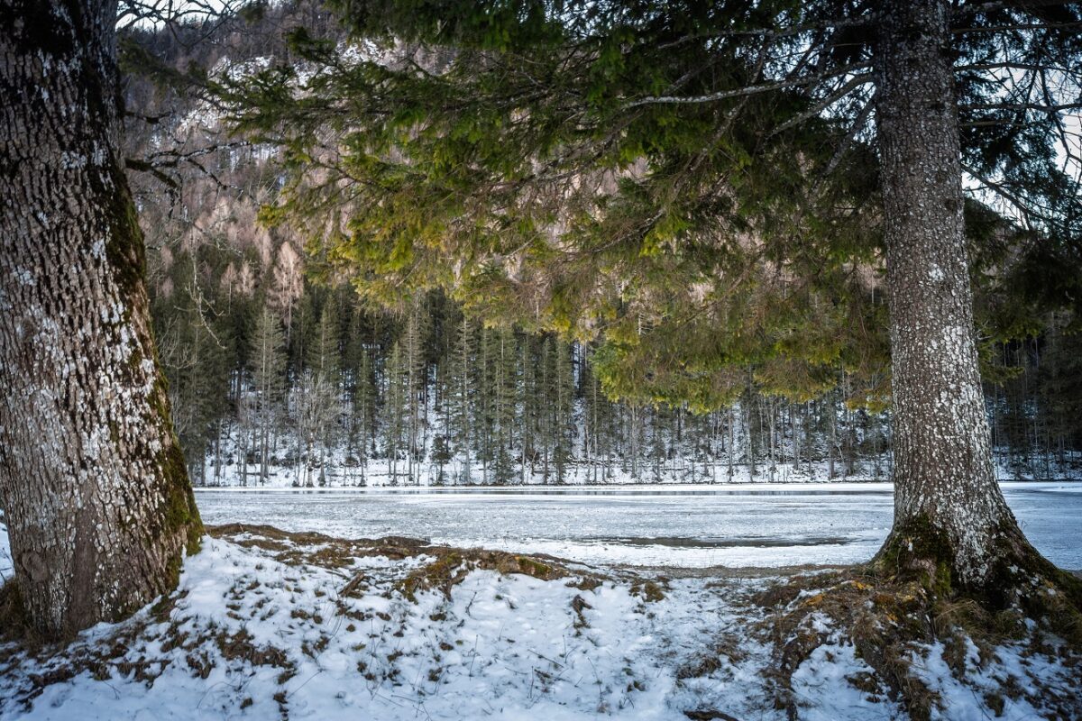 Életveszélyben volt egy 11 éves autista kislány – tűzoltók mentették ki a jeges tóból