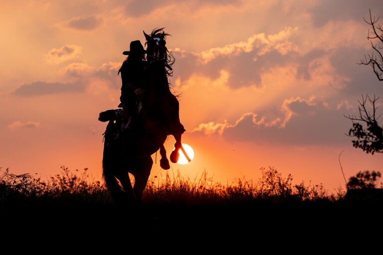 Így állna össze Hollywood egyik leghíresebb apa-fia párosa egy westernben