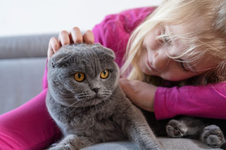 A tudósok szerint a macskák segíthetnek áttörést hozni a rákgyógyításban