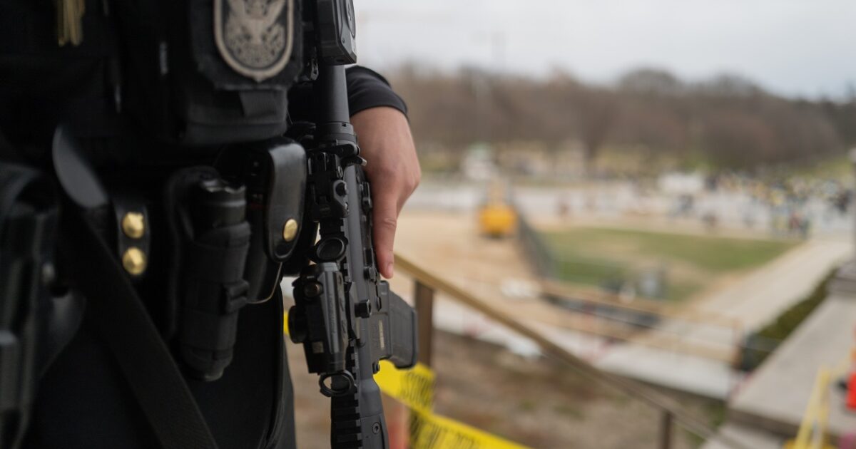 Egy idős kóbor kutya meghódította a rendőröket – már a rendőrségen él Kép