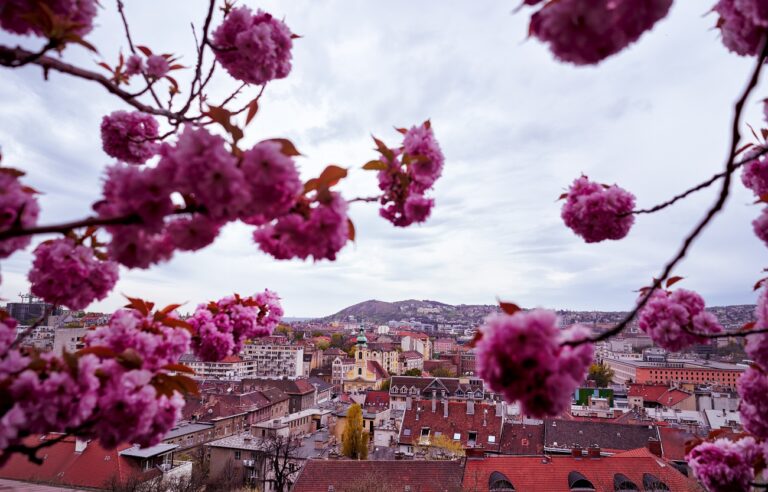 Tokostul rúgta be a tavasz az ajtót – szokatlan számokat közöltek