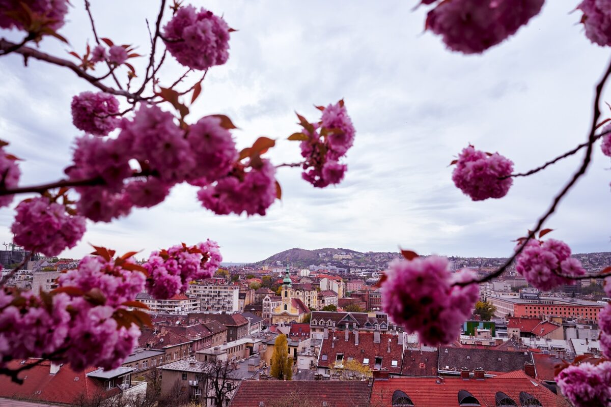 Váratlan fordulat jön az időjárásban – hó is eshet hamarosan