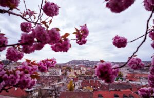 Váratlan fordulat jön az időjárásban – hó is eshet hamarosan