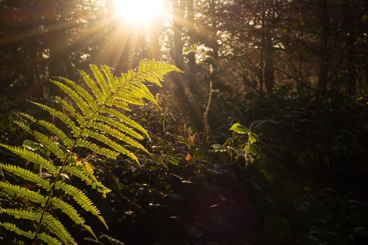 Ez a világvége-sorozat teljesen más, mint amire számítanál