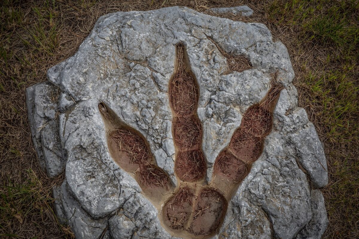 A Netflix rendkívüli látványvilággal hozza vissza a dinoszauruszokat