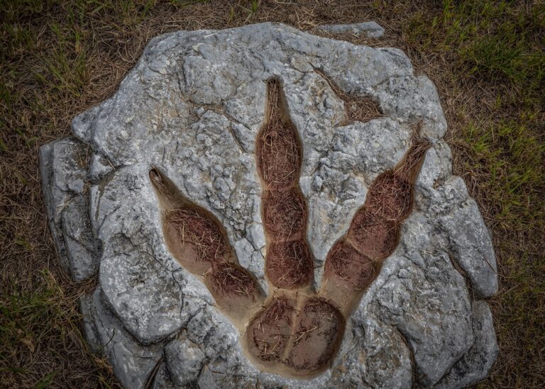 A Netflix rendkívüli látványvilággal hozza vissza a dinoszauruszokat