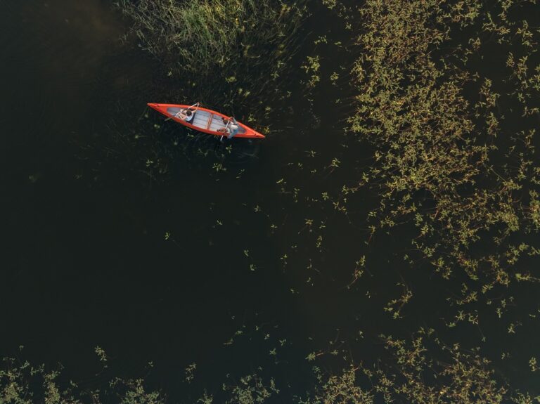 Megtalálták az eltűnt családapát – már nincs életben