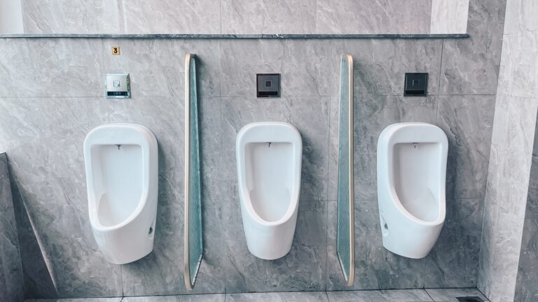 Meglepő, mi a legpiszkosabb egy nyilvános WC-ben