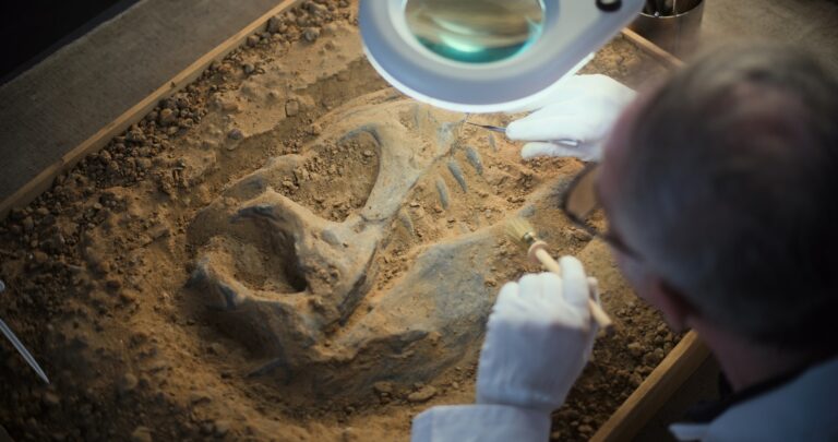 Így nézett ki a krokodil, ami dinoszauruszokat is felfalt