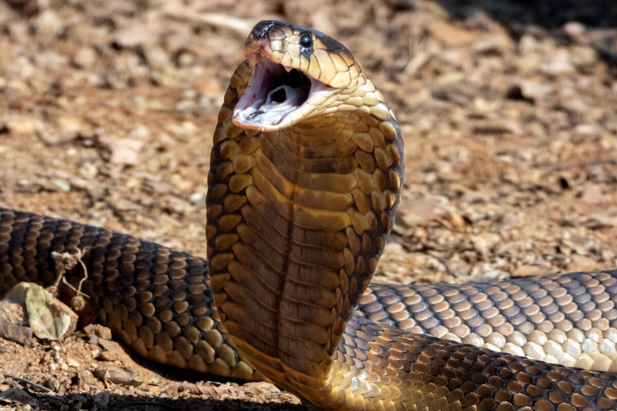 Példátlan módon halt meg egy német turista – azonnali vizsgálat indult