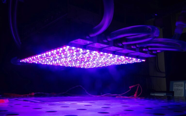 Amit most a fénnyel tettek, az átírhatja a jövő technológiáját