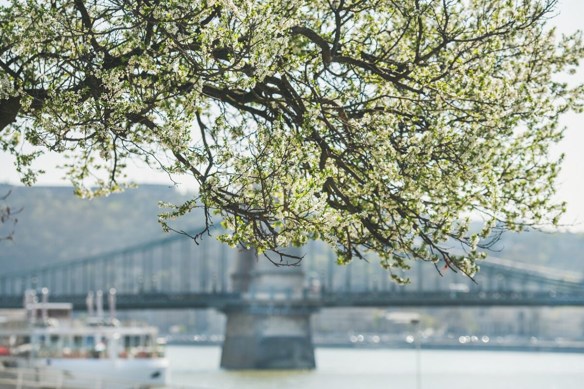 Régóta vártak erre a magyarok – most végre megkapták