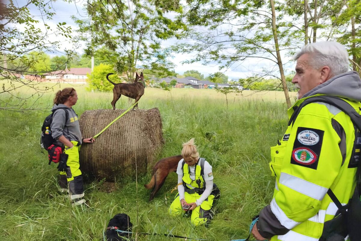 Azonnali közleménnyel reagált a Pest Vármegyei Kutató-Mentő Szolgálat