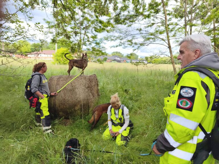 Azonnali közleménnyel reagált a Pest Vármegyei Kutató-Mentő Szolgálat