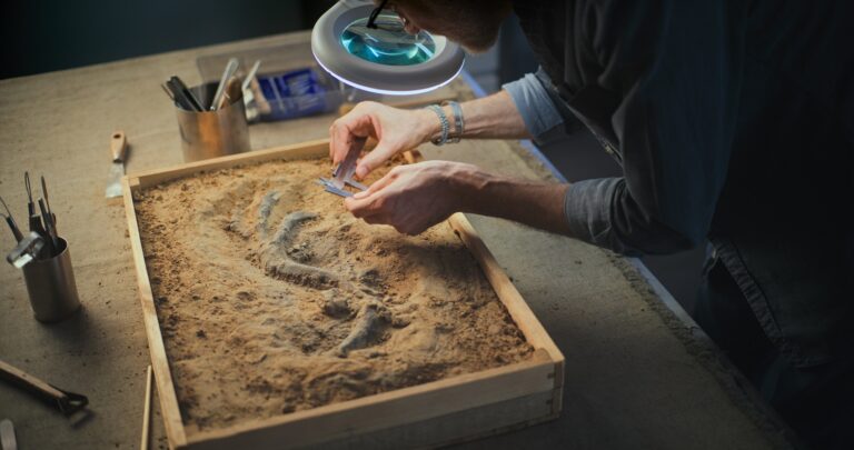 72 millió éves dinoszaurusztojásokat találtak – óriási felfedezés