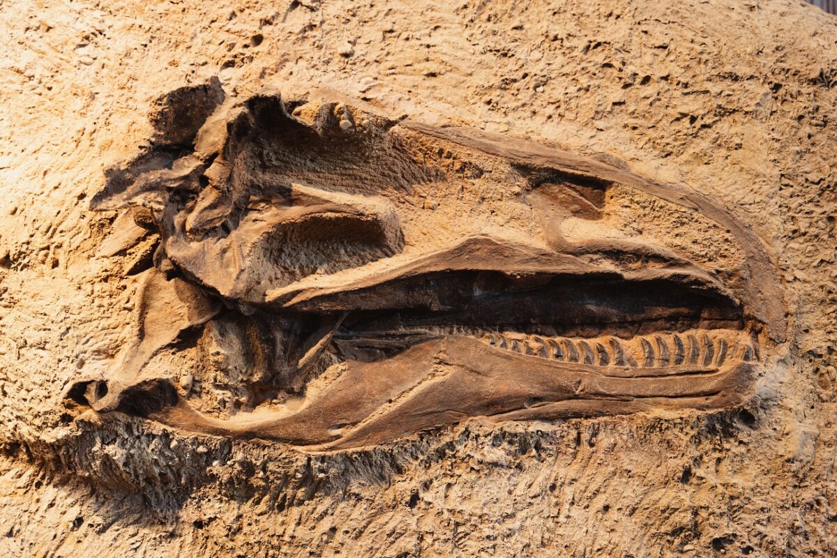 A legendás sci-fi, ami felfoghatatlanul sok pénzt hozott