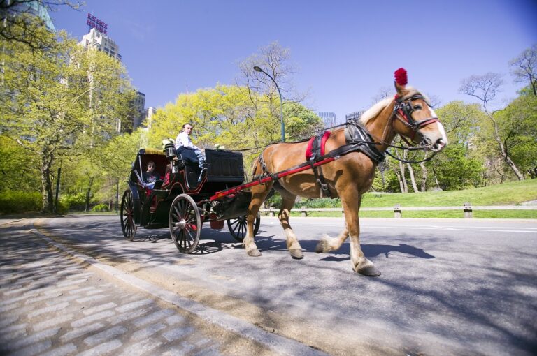 A 160 év alatt soha nem volt példa erre New Yorkban – most ez is bekövetkezhet